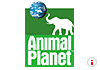 animal planet