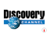 discovery